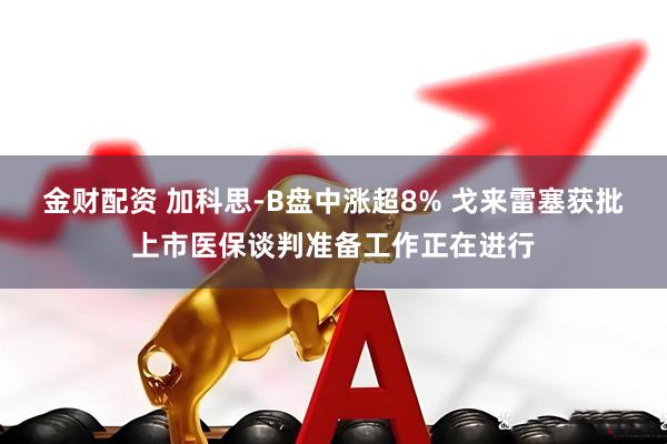 金财配资 加科思-B盘中涨超8% 戈来雷塞获批上市医保谈判准备工作正在进行