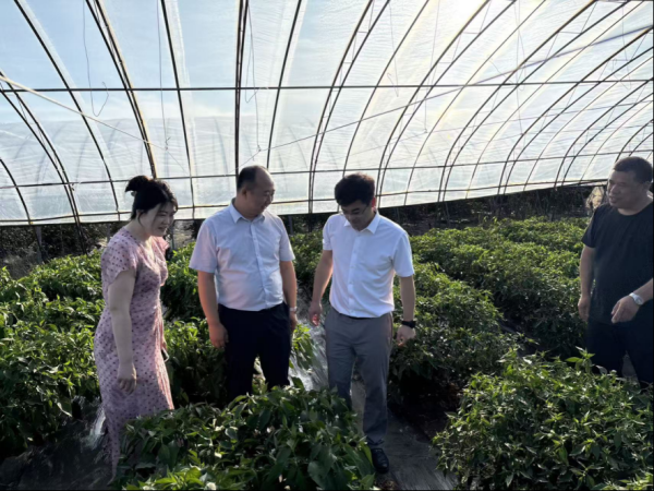 长春博时配资 实地技术指导为农户送去科学种植养殖“及时雨”